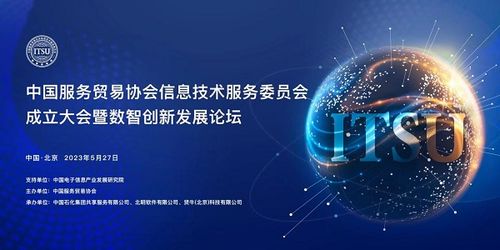 把握时代机遇,共绘美好蓝图 中国服务贸易协会信息技术服务委员会正式成立